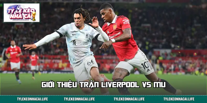 Thông tin chính về trận Liverpool vs MU